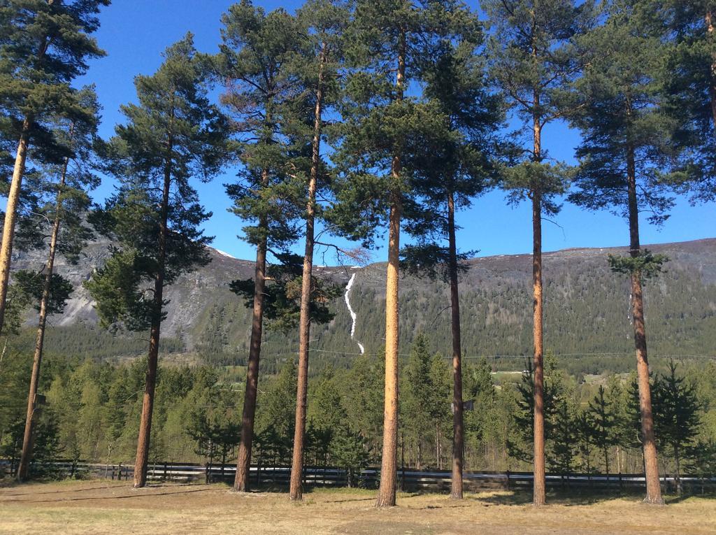 Furuly Camping Nordberg ภายนอก รูปภาพ